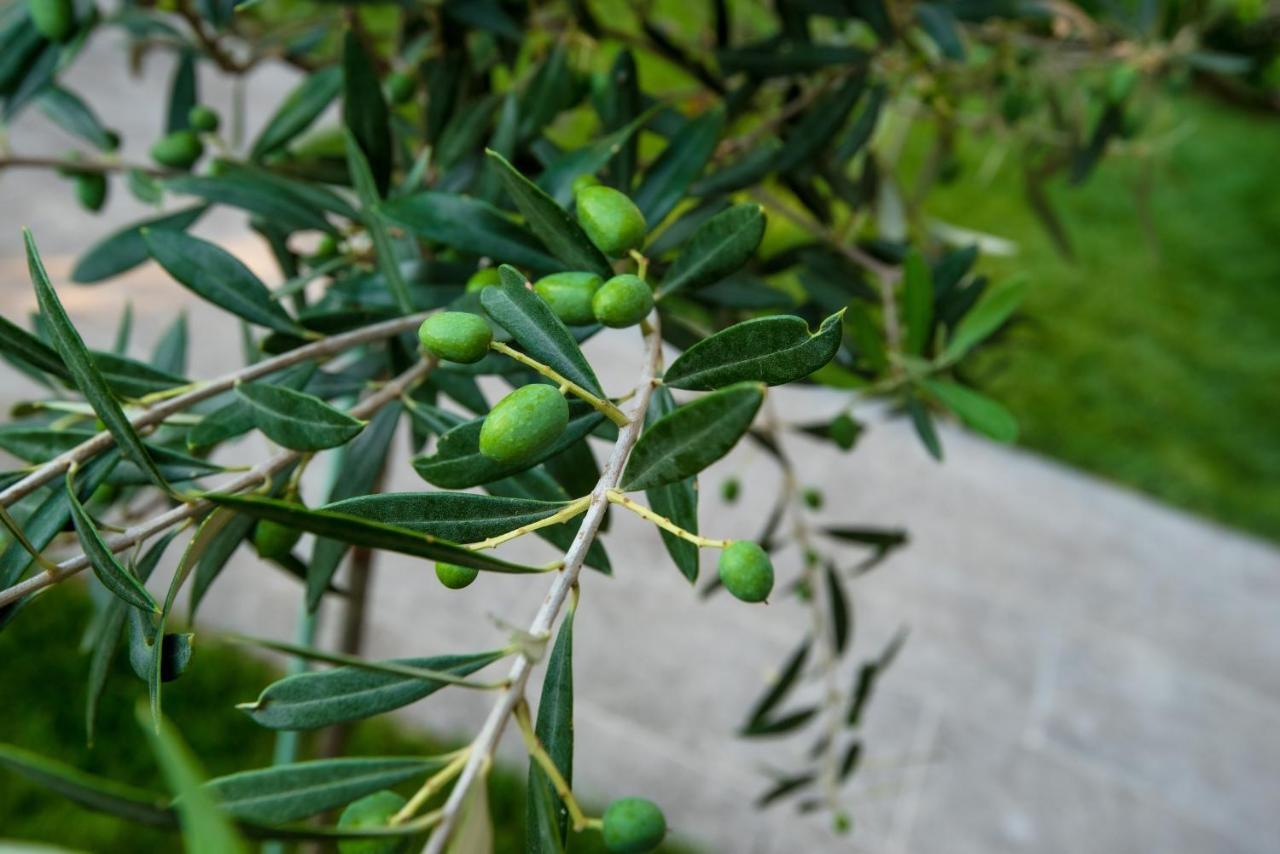 Olive 102 Apartment Peraia  Luaran gambar